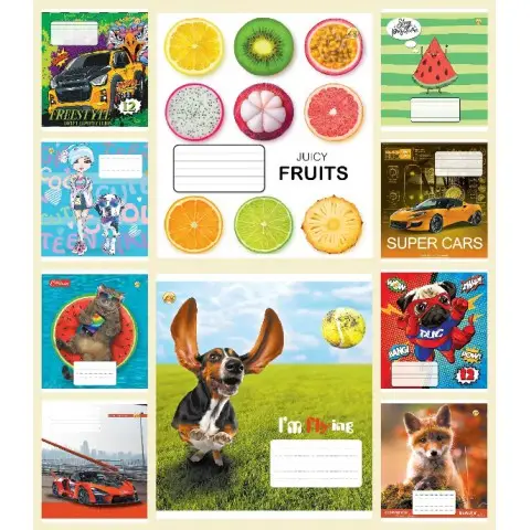 Тетради ученические 12 листов линия твердая ТЕ52117 12ЛВ2-МИКС, 25 шт. в упаковке