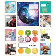 Тетради ученические 12 листов линия Твердая 32102 МИКС 8, 25 шт. в упаковке