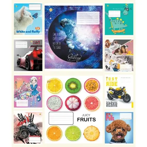 Тетради ученические 12 листов линия Твердая 32102 МИКС 8, 25 шт. в упаковке