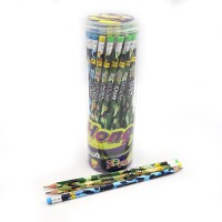 Олівець чорнографітний Star Color Office, HB, з гумкою, 48 шт.