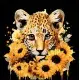 Набір для розпису по номерах Леопард та золоті соняшники, на чорному фоні, 30x30 см, SH3030-21