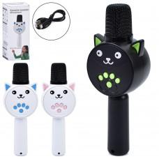 Мікрофон 20см, акум, Bluetooth, FM, MP3, TFслот, USBзарядне, 3 кольори, в кор-ці, 8-20,5-5,5см /35/