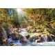 Пазли Castorland Лісовий струмок, 2000 елементів, 92x68 см, C-200382