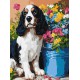 Набір для розпису по номерах Милий спанієль, Ideyka, 30x40 см, КНО6672