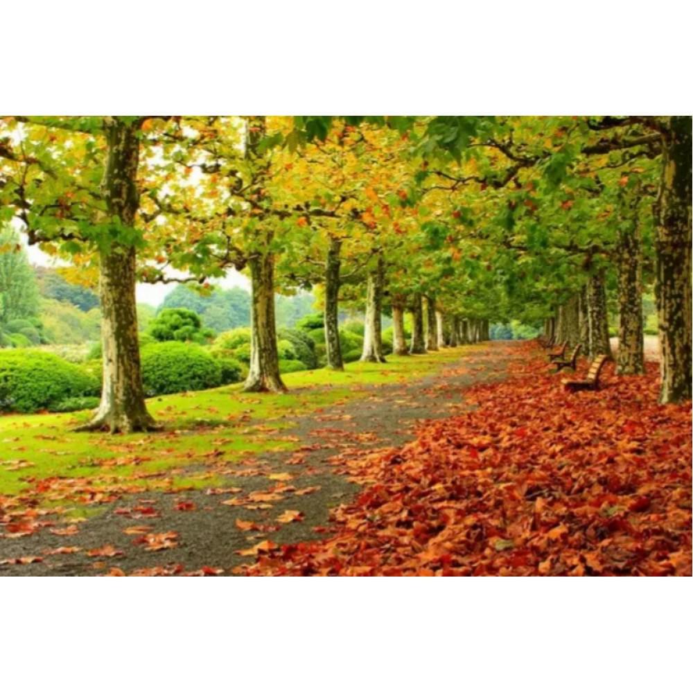Алмазна мозаїка за номерами 40*50 "Осінь" карт уп. (полотно на рамі)