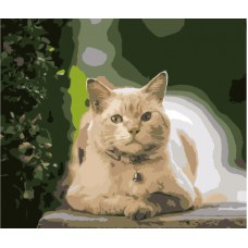 Картина за номерами  кіт на відпочинку strateg розміром 40х50 см (dy182)