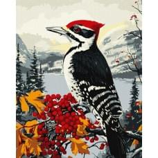 Набір для розпису по номерах "Дятел на гілці" Ideyka 40х50см КНО6777