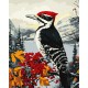 Картина за номерами Дятел на гілці Ideyka 40×50 см КНО6777