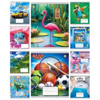 Зошити учнівські 24 аркуша клітинка Тверда Мікс 2, 20 шт. в упаковці