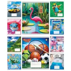 Тетради ученические 24 листа клетка Тверда Мікс 2, 20 шт. в упаковке