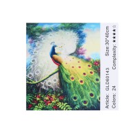 Алмазна мозаїка за номерами Павич 60143, 30x40 см