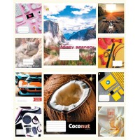 Зошити учнівські 48 аркушів клітинка Тверда 41503 Мікс д/х 1, 10 шт. в упаковці