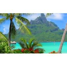 Алмазна мозаїка за номерами 30*40 "Тропіки" карт уп. (полотно на рамі)