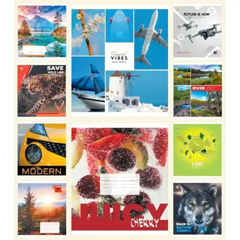 Зошити учнівські 96 аркушів клітинка Люкс 96КL1, 10 шт. в упаковці