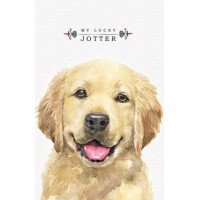 Блокнот, 60 г, 7БЦ, 105x165 мм, 64 аркуші, клітинка, матова ламінація, 19372