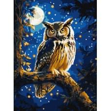 Набір для розпису по номерах "Нічна сова з фарбами металік extra" Ideyka 30х40см КНО6681