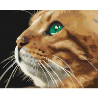 Набір для розпису по номерах Погляд рижулі, 40x50 см, BS52377