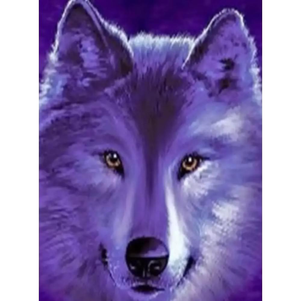 Алмазна мозаїка на підрамнику "Вовк" Josef Otten 40х50см, у картонній упаковці, 71262_BGLE