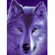 Алмазна мозаїка на підрамнику Вовк 40×50 см 71262_BGLE