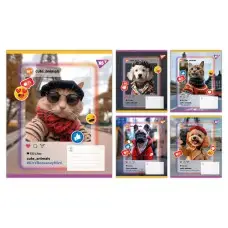 Тетради ученические 36 листов линия Yes Cute animals, 15 шт. в упаковке
