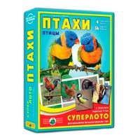 Супер лото Птахи, ТМ Енергія+