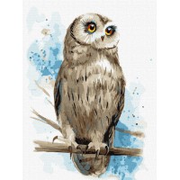 Набір для розпису по номерах Мудрий погляд, 30x40 см, КНО4296