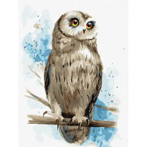 Набір для розпису по номерах Мудрий погляд, 30x40 см, КНО4296