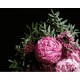 Набір для розпису по номерах Букет рожевих півоній, Strateg, на чорному фоні, 40x50 см, AH1053