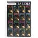 Набір для творчості "Гравюра А4" с.2 (36) Danko Toys