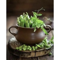 Набір для творчості алмазна картина Зелений горошок Strateg HEG86042, 30x40 см