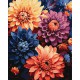 Набір для розпису по номерах Барвисті жоржини, 40x50 см, КНО3248