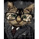 Набір для розпису по номерах Діловий котик, Strateg, 40x50 см, GS1024