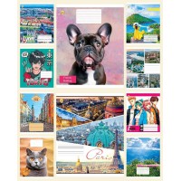 Зошити учнівські 24 аркуша лінія Тверда ТЕ42302 Мікс2, 20 шт. в упаковці