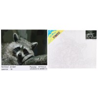 Набір для розпису по номерах Сумний єнотик, Strateg, 40x50 см, DY087