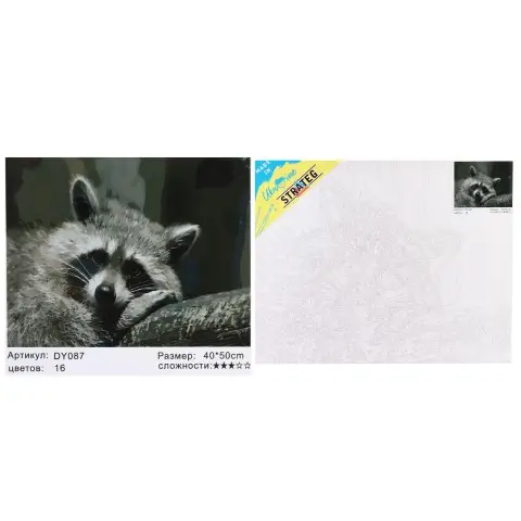 Набір для розпису по номерах Сумний єнотик, Strateg, 40x50 см, DY087