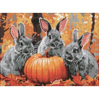 Алмазна мозаїка Кролячі пригоди 30×40 см AMO8079