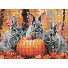 Набір з алмазною мозаїкою "Кролячі пригоди" 30х40см AMO8079