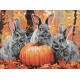 Алмазна мозаїка Кролячі пригоди 30×40 см AMO8079