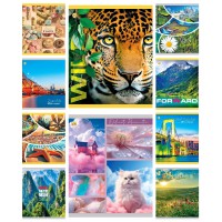 Зошити учнівські 60 аркушів клітинка Тверда Мікс 1, 10 шт. в упаковці