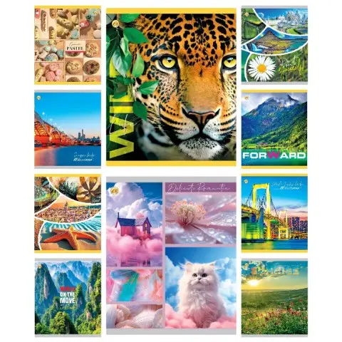 Зошити учнівські 60 аркушів клітинка Тверда Мікс 1, 10 шт. в упаковці