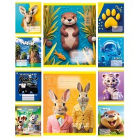 Зошити учнівські 24 аркуша лінія Тверда Мікс 4, 20 шт. в упаковці