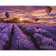 Набір для розпису по номерах Квітуча лаванда, 40x50 см, КНО2839
