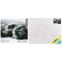 Набір для розпису по номерах Котик у променях, Strateg, 40x50 см, DY109