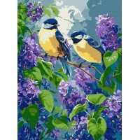 Набір для розпису по номерах Весняний дует, Ideyka, 30x40 см, КНО6654
