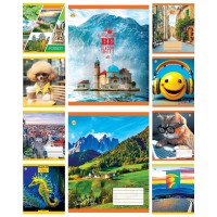 Зошити учнівські 48 аркушів лінія Тверда Мікс 1, 10 шт. в упаковці