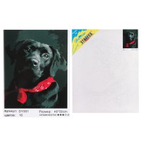 Набір для розпису по номерах Чорний лабрадор, Strateg, 40x50 см, DY061