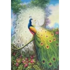 Алмазна мозаїка за номерами 40*50 "Павлін" карт уп. (полотно на рамі)