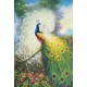 Алмазна мозаїка на підрамнику Павлін 40×50 см 70855_BGLE