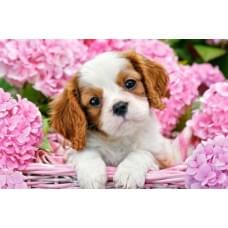 Пазлы Castorland "Щенок в розовых цветах" 500 эл. (B-52233)