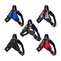 Шлея регульована з захисним замком розмір S S702(122323)